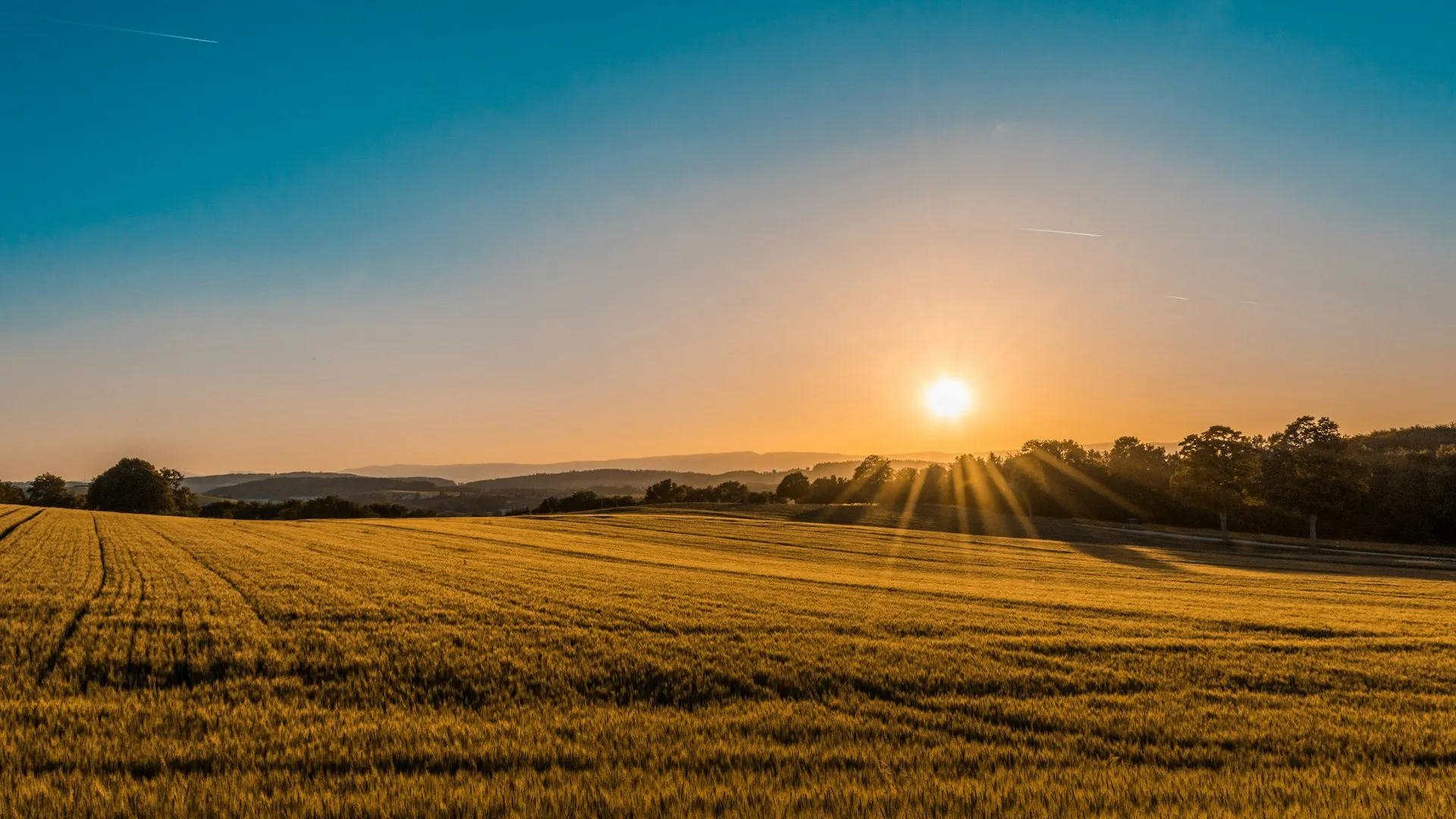 Weite Feldlandschaft in Niedersachsen